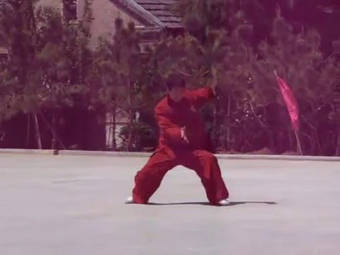 Master Wang Jianqiao Taichi form