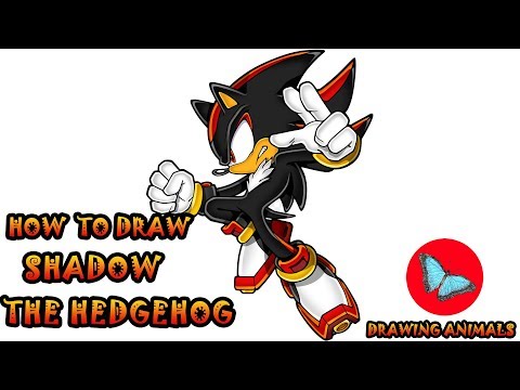 How To Draw Shadow The Hedgehog | Drawing Animals