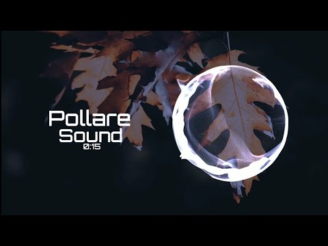 Common Kings ft. Landon McNamara - Neil Armstrong