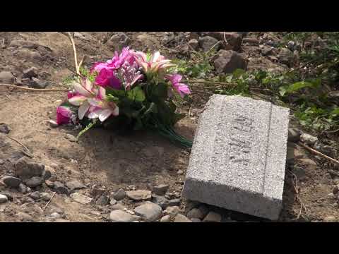 Sottopassaggi al posto dei passaggi a livello sulla Cremona-Codogno