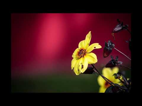 Sven Karlsson - Living EZ (Modern Blues)