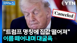 [자막뉴스] "내 이름 붙여야 가치 올라" 외쳤는데 굴욕...역풍 맞은 트럼프 / YTN