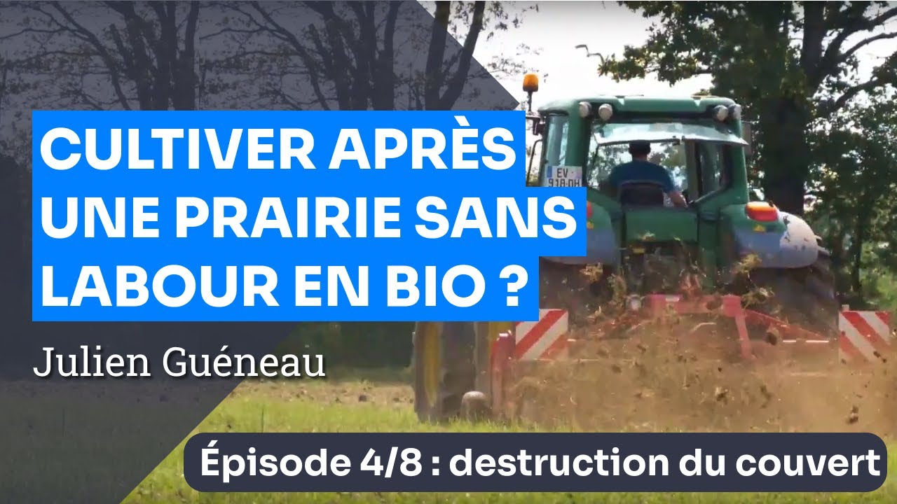 Épisode 4 : La destruction du couvert - Implanter une culture en Bio sans labour après prairie
