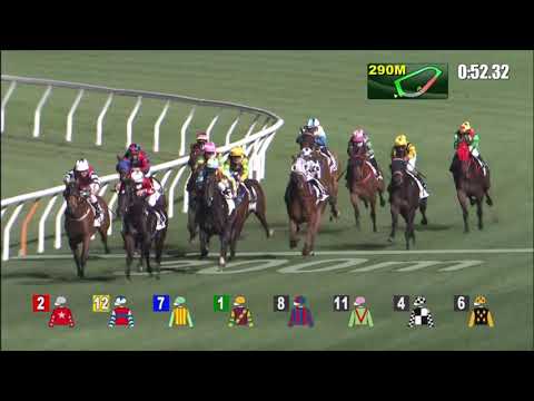 17/2/2021 (433) Red Brick Fighter - Matthew Poon