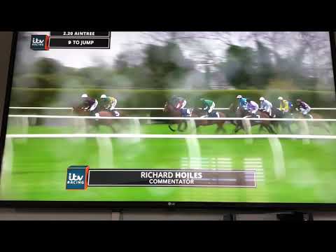 AINTREE FESTIVAL 2019 - Doom Bar Anniversary 4-Y-O Juvenile Hurdle (Grade 1) (Class 1)