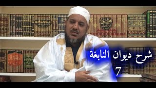 شرح ديوان النابغة الذبياني // 7 // الشيخ محمد محمود الشنقيطي image