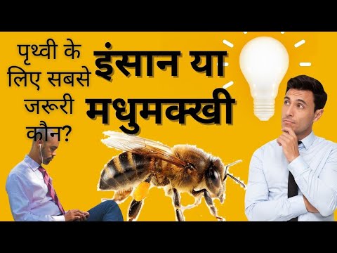 Kanti Ranjan Tiwari Bees Vs Human