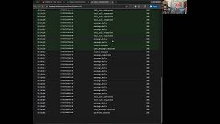 Duo Agentic Chat on Auto Flow PoC