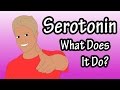 Serotonin Neurotransmitter What Is Serotonin Functions Of Serotonin