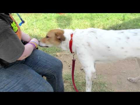 Ralph Noah - ADOPTED!