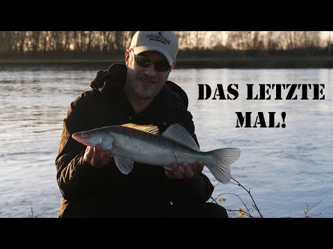 Zander fishing in winter 2025 - That breaks every rule!