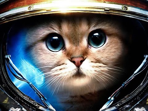 Значение аватара в соцсетях: определяем характер и особенности человека