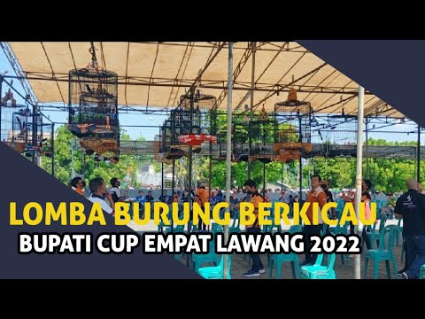 PECINTA BURUNG JAWA-SUMATERA NGUMPUL DI EMPAT LAWANG