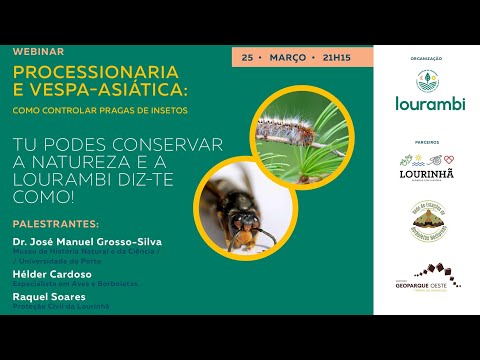 , title : 'Processionária e Vespa-Asiática - Como controlar pragas de insetos?'