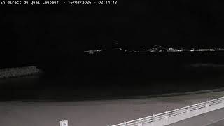 坎城・洛伯夫碼頭 live