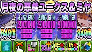 【パズドラ】月夜の悪戯ユークス＆ミヤ！一撃８４０億！ユークス＆ミヤ×日向×玲王ループ！執事ゼウス＆メイドヘラ降臨！