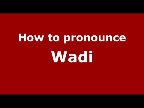 How to pronounce Wadi