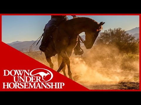 Arizona Desert Adventure Sneak Peek