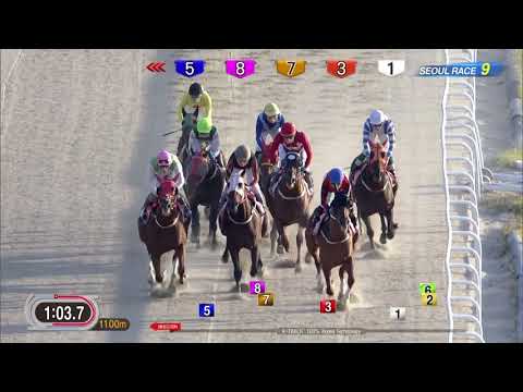 171022 KRA CUP Classic(GⅡ) Seoul 9R