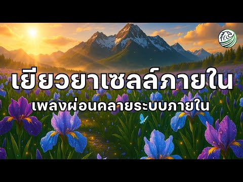 เพลงผ่อนคลาย เพลงเยียวยาเซลล์ภายใน ช่วยฟื้นฟูร่างกาย ดนตรีบำบัดเซลล์ เพลงซ่อมเซลล์สมอง ดนตรีผ่อนคลาย