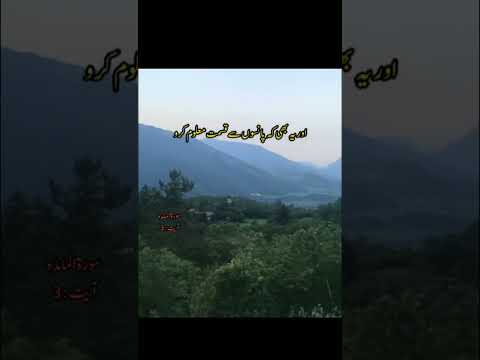 Surah Al-Maeda urdu translation verse 3 #surahmaeda ||learn Quran with relaxing videos