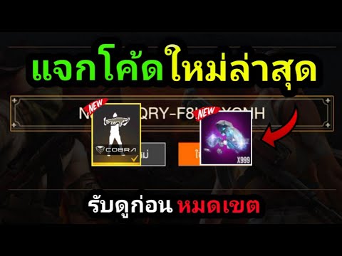 ฟีฟาย