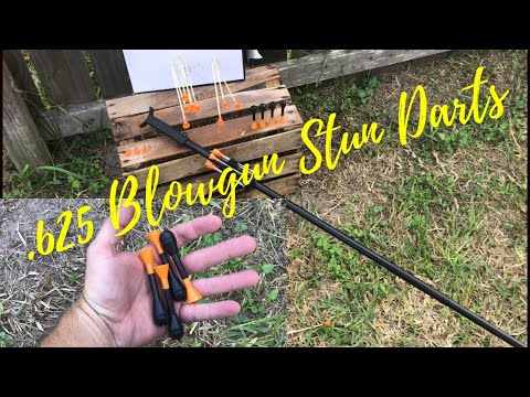 My new .625 Cold Steel blowgun/ Stun dart test