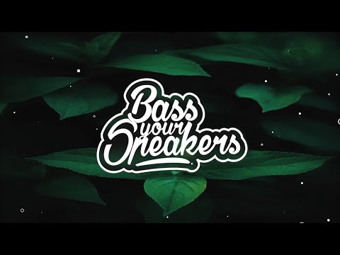 SpydaT.E.K - Brazil Ting