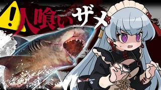【サメゲー】勝てるわけない！夏だし海行こうぜ！！海といえばあれだよな、鮫！！！【Maneater】