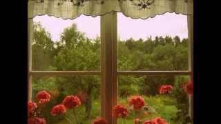 &quot;A Horse In The Country&quot;.wmv - Cowboy Junkies -