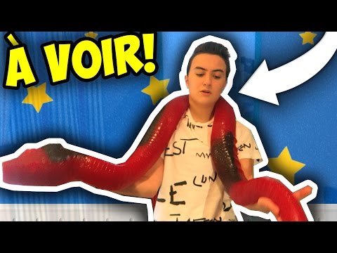 LE PLUS GROS BONBON XXL GÉANT DU MONDE! - Dégustation, Truc Drole & Objets WTF