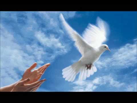 La Cage Aux Oiseaux video