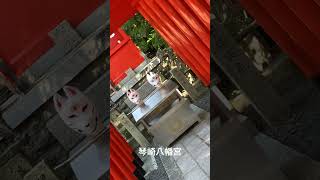 琴崎八幡宮