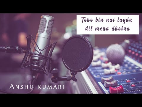 Anshu Kumari A short cover - tere bin