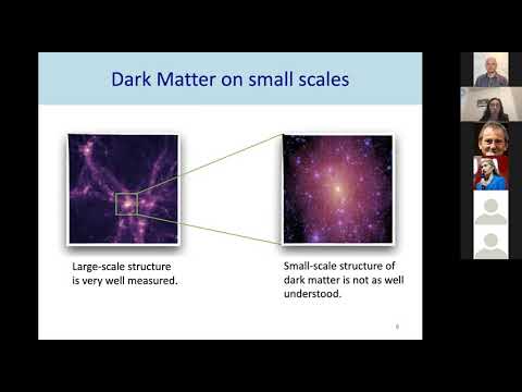 2020 10 19 NITheP Colloquium Cora Dvorkin, Unveiling the Nature of Dark Matter with...