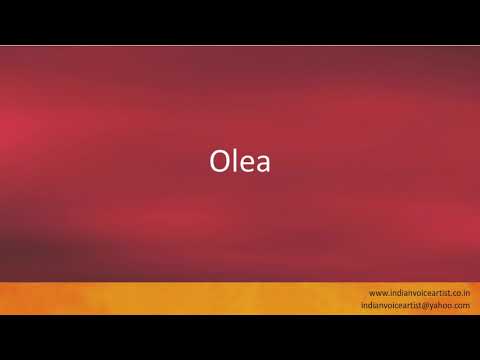 Pronunciation of the word(s) "Olea".