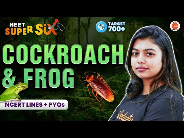 Understanding the Anatomy and Morphology of Cockroaches and Frogs for ...