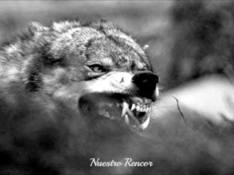 Nuestro Rencor-Yerevand, SinH, Beaten B (Atrapaos en Sensustreet) Con letra