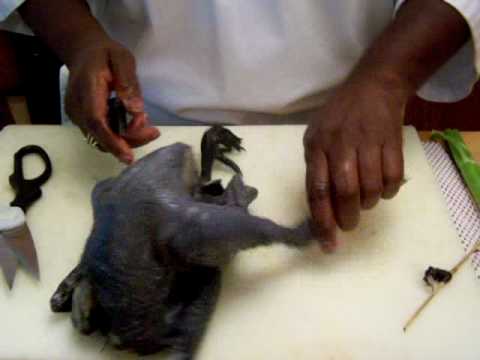 Cooking Wih Chef Sara Ray Take 3