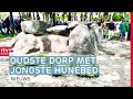 Tynaarlo bestaat 1200 jaar & filmmakers naar Cannes | Drenthe Nu