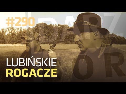 Darz Bór odc 290 - Lubińskie rogacze