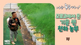 [나는농부다 306회 1부] 모로코에서 온 기운 센 천하 농부