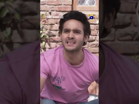 Mein Rania 😎😎 Future Wazir-e-Azam - #TereAanySe #Shorts