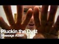 ASMR Strange Trigger Dr Dmitri Plucking The Dust