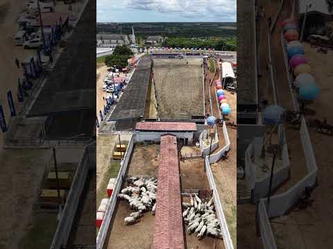 A MAIOR VAQUEJADA DO RIO GRANDE DO NORTE. #nordeste #tvchicocobradagua #turismo