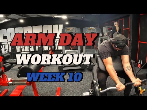 Spring Cut - Day 66 - Arm Day || Week 10