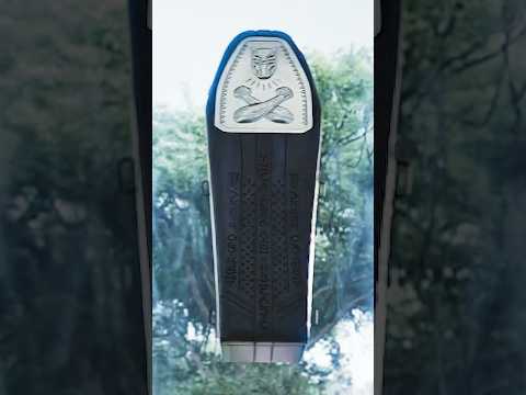 Why T'Challa Couldn't Be Saved in Black Panther Wakanda Forever