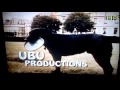 UBU Productions CBS Paramount Network Television 1984 2007