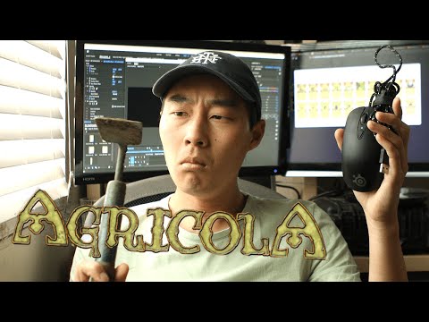 after playing Agricola for 30 days straight...