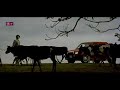 Rajni Whatsapp Status